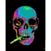 Skulls 9
