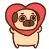 ƿυ૭Նɿ૯ Pug 1 6