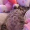 sleeplessnight 5
