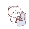 Momo Meow 6