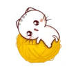 Momo Meow 8