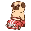 ƿυ૭Նɿ૯ Pug 1 8