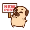 ƿυ૭Նɿ૯ Pug 1 9