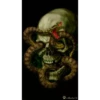 Skulls 11