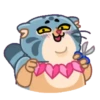 Snow Manul 6