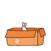 Momo Meow 11