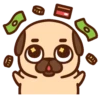 ƿυ૭Նɿ૯ Pug 1 12