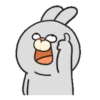 RabbitFam .MOV 13