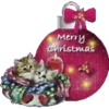 Navidad - 13 Mov.1712 11