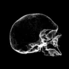 Skulls 20