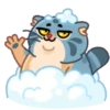 Snow Manul 11