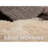 Morning 16