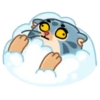 Snow Manul 13