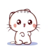 Momo Meow 14