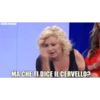 Merdaccia Italiana 8