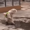 Niños Bebés cute ️ 19