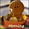 Morning 18