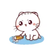 Momo Meow 15