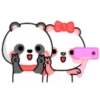 Cute panda 19