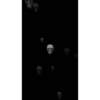 Skulls 21