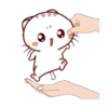 Momo Meow 16