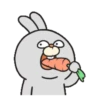 RabbitFam .MOV 16