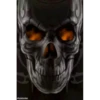 Skulls 22