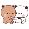 🐼🐻Bubu&Dudu💗1💗🐻🐼 23