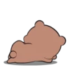 Chubby Bear 5 MOV. 15