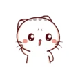 Momo Meow 20
