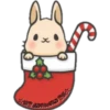 Navidad 24