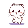 Momo Meow 21