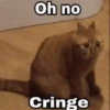 videocat 27
