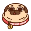 ƿυ૭Նɿ૯ Pug 1 16