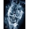 Skulls 23