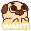 ƿυ૭Նɿ૯ Pug 1 17