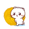 Momo Meow 23
