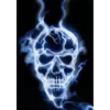 Skulls 24