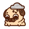 ƿυ૭Նɿ૯ Pug 1 19