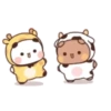 🐼🐻Bubu&Dudu💗1💗🐻🐼 27