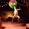 Circus dance 22