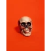 Skulls 27