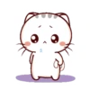 Momo Meow 25