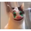 videocat 30