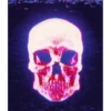 Skulls 29