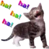 (ᗒᗣᗕ)՞ Risas 1(⊃｡ ́‿ ̀｡)⊃ 30