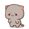 MOCHIS CAT Extra"S" MOV 5