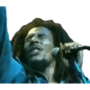 Bob Marley 1 Movi 6