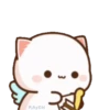 MOCHIS CAT Extra"S" MOV 6