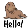 Hello 9